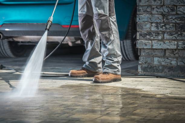 Best Oil Spill Cleanup  in Jacinto City, TX